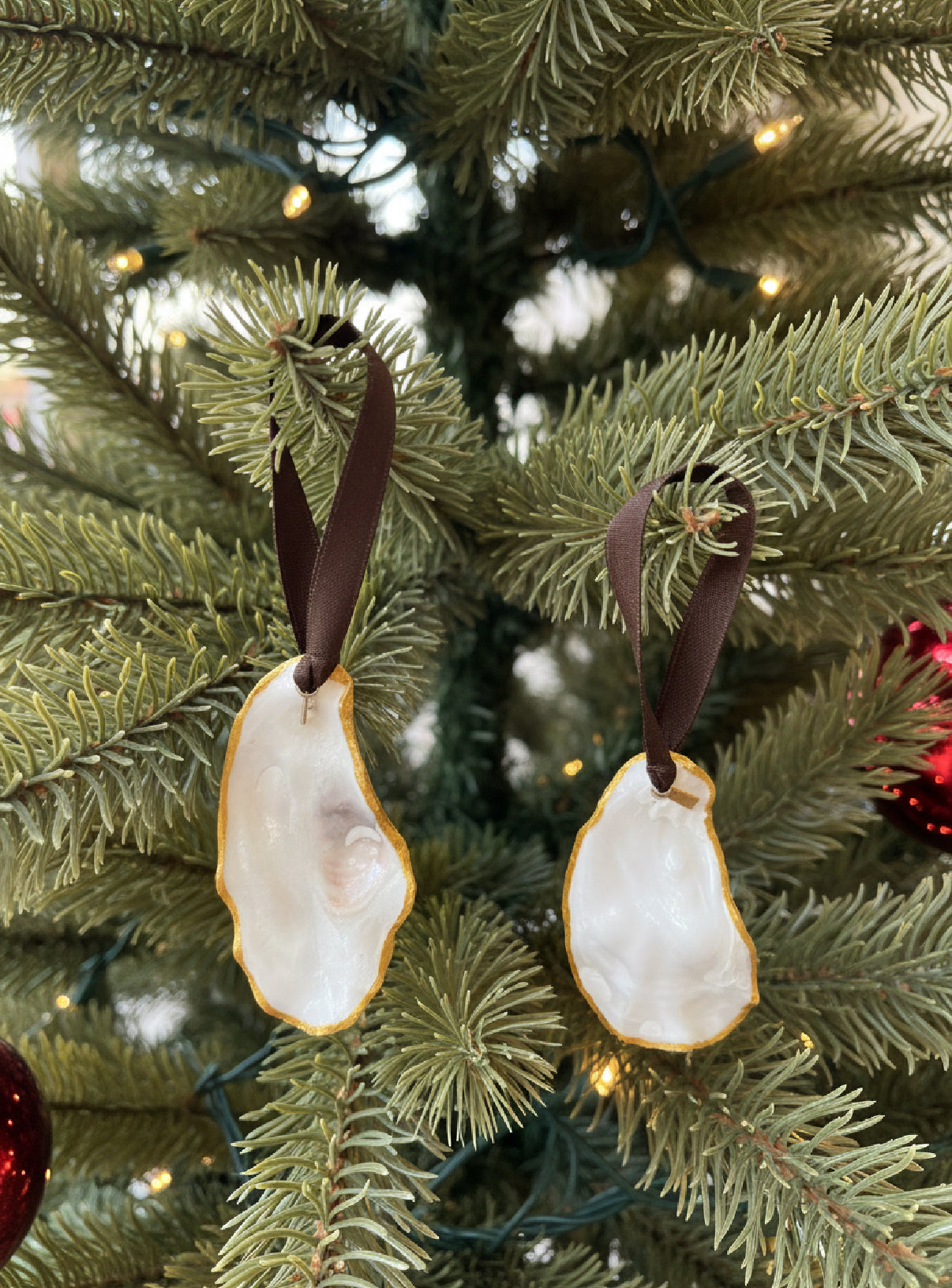 Oyster Shell Ornament